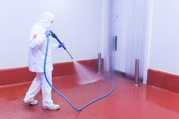 Best Warehouse Cleaning  in Cortland, IL